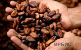 Засуха в Африке спровоцировала рост цен на какао в мире